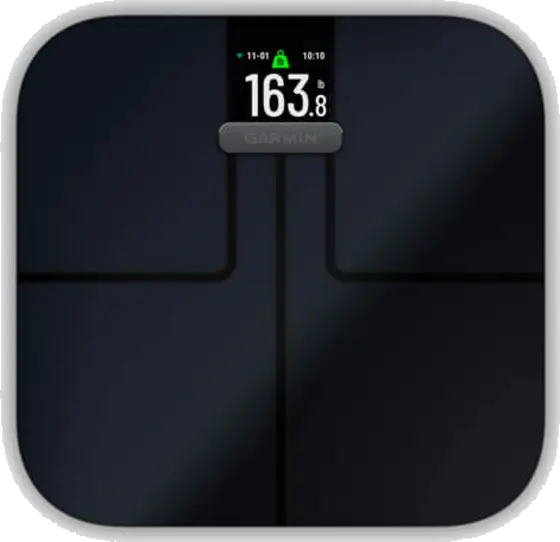 scale